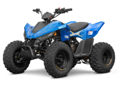 ATV Copii - Linhai 110