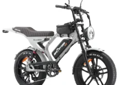 Bicicleta electrica APE RYDER MANDRIL ULTRA-GRAY, motor 250W, baterie 48V/15Ah, viteza 25 Km/H, autonomie 60 Km, schimbator Shinamo TX70 7 viteze, adulti, roti 20", display LCD, 1 loc, gri